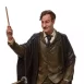 Figura decorativa Harry Potter Lupin 5