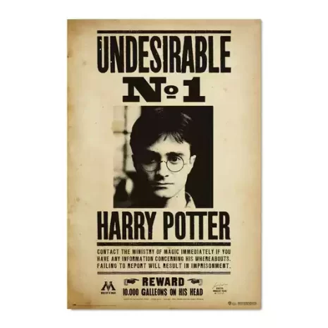 Poster Harry Potter Indeseable N1