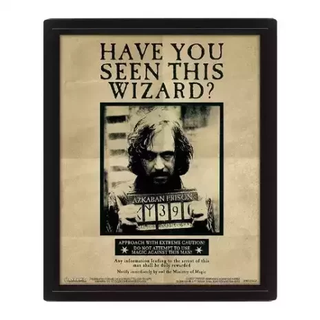 Poster 3D Harry Potter - Harry & Sirius 2