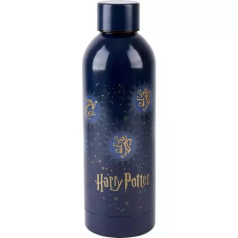 Botella Metálica Harry Potter