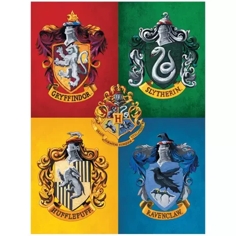 Lienzo Harry Potter Casas de Hogwarts