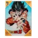 Poster de Vidrio Dragon Ball Z Goku Kame
