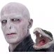 Busto Lord Voldemort 31cm Harry Potter 5