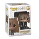 Funko POP! 77 Hermione Gato Harry Potter 3