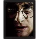 Poster 3D Harry Potter Harry Vs Voldemort