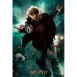Puzzle Lenticular 3D Harry Potter Ron Weasley Batalla - 300 Piezas 2