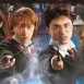 Puzzle Panorama Harry Potter 1000pzs 2